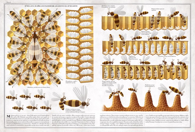 dakelche-pchelite-page-1