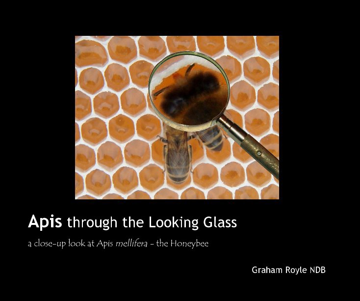 apis thorugh the looking glass